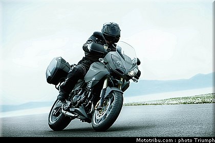 triumph_tiger_se_1_2010.jpg