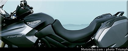 triumph_tiger_se_2_2010.jpg