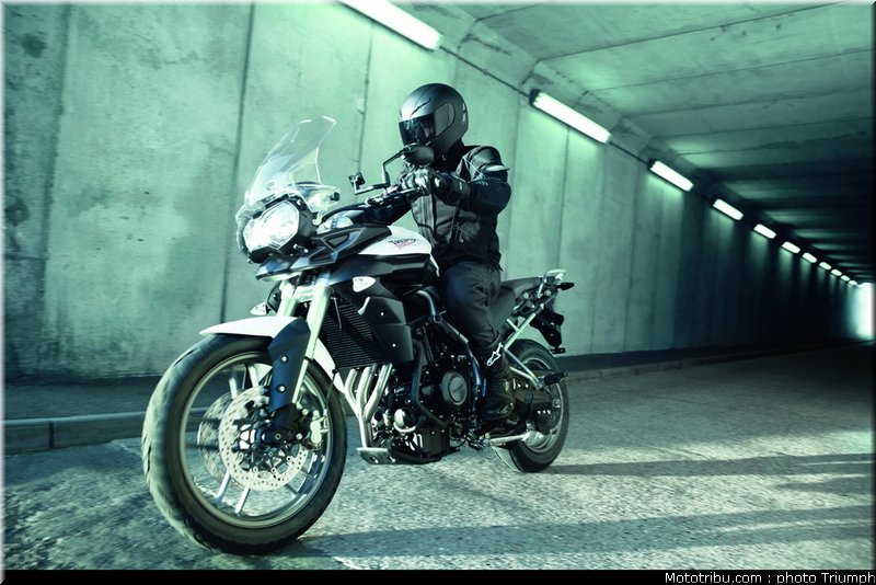 triumph_800_tiger_2011_1