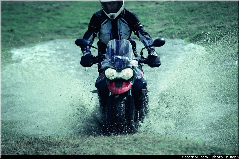 triumph_800_tiger_xc_2011_3