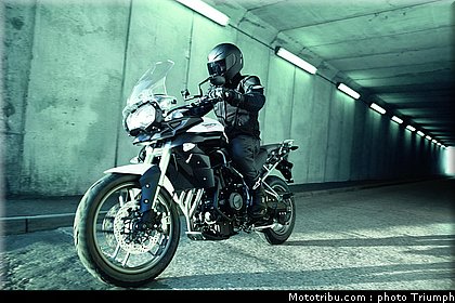 triumph_800_tiger_2011_1.jpg