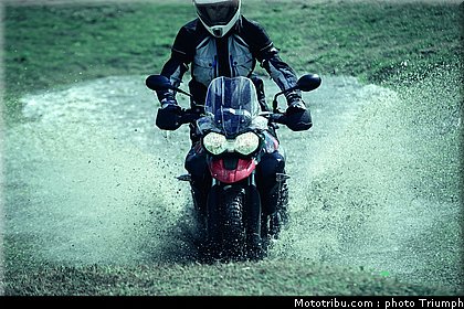 triumph_800_tiger_xc_2011_3.jpg