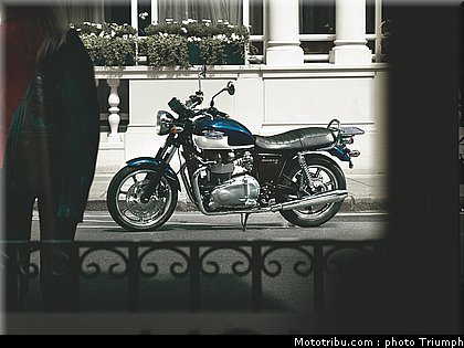 triumph_2011_bonneville_se_2.jpg