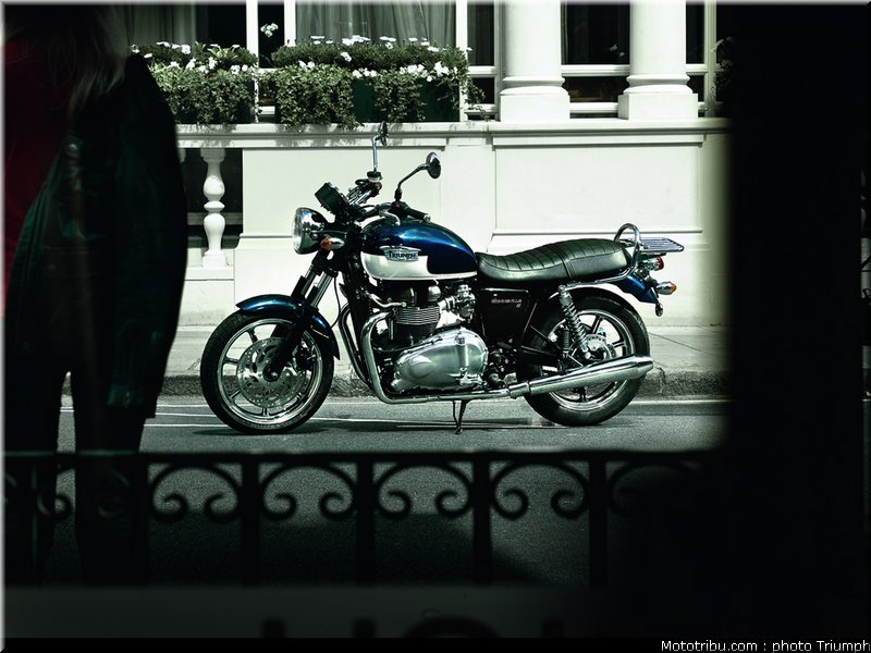 triumph_bonneville_se_02_2012