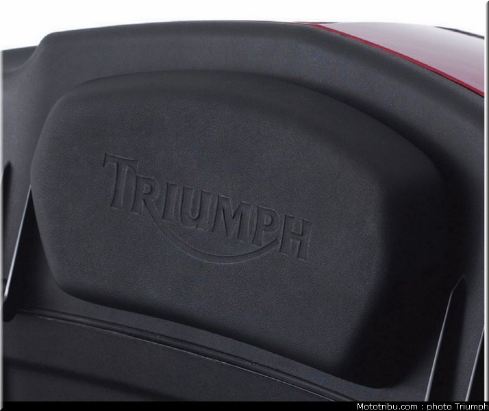 triumph_1050_023_2012