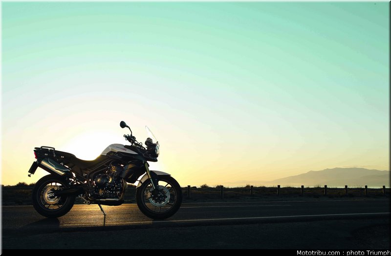 triumph_800_003_2012