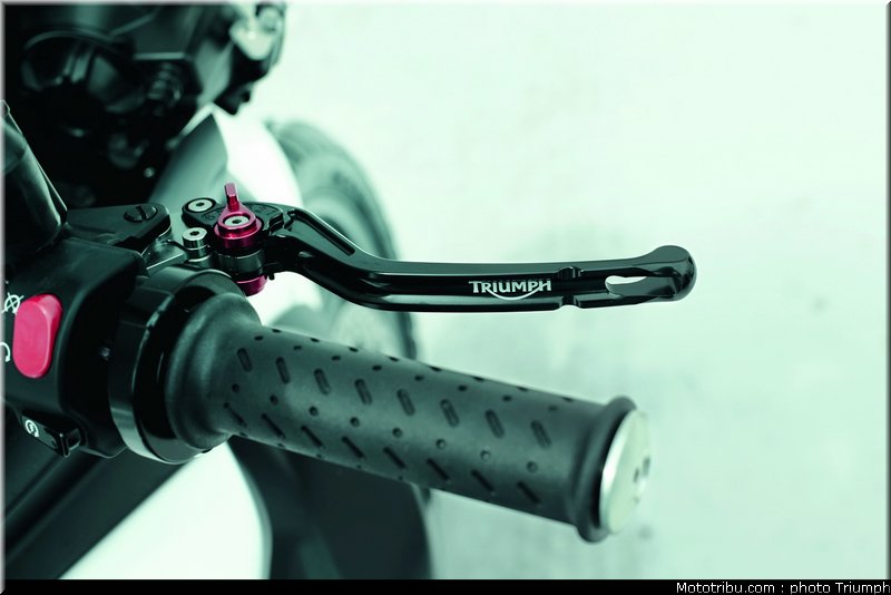 triumph_800_006_2012