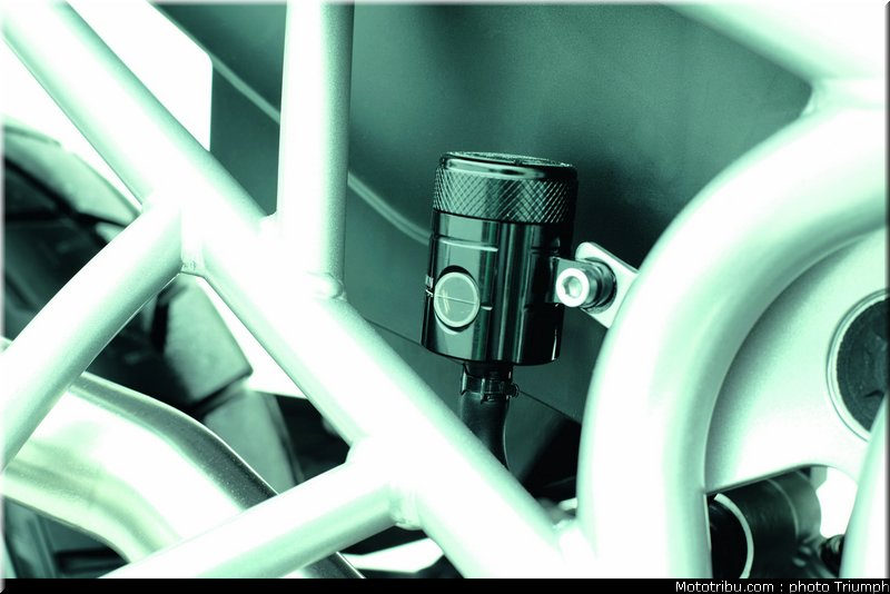 triumph_800_007_2012