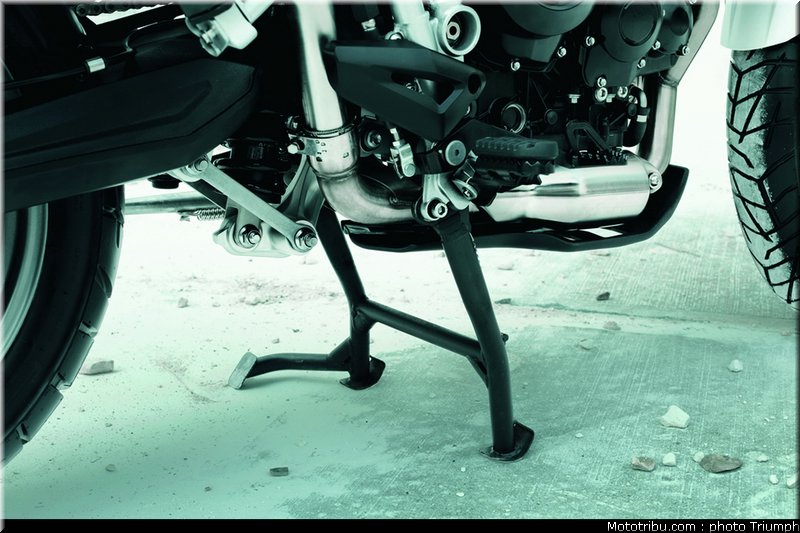 triumph_800_008_2012