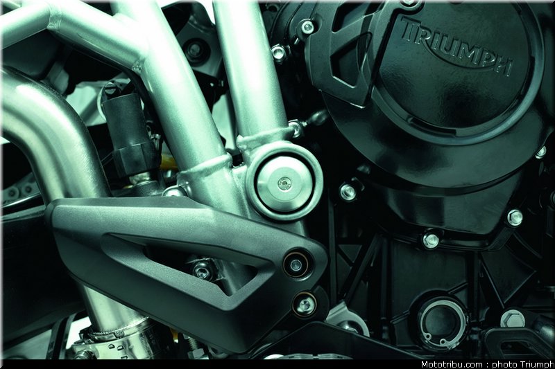triumph_800_010_2012