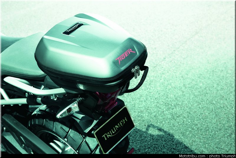 triumph_800_012_2012