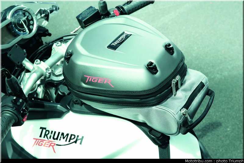 triumph_800_013_2012