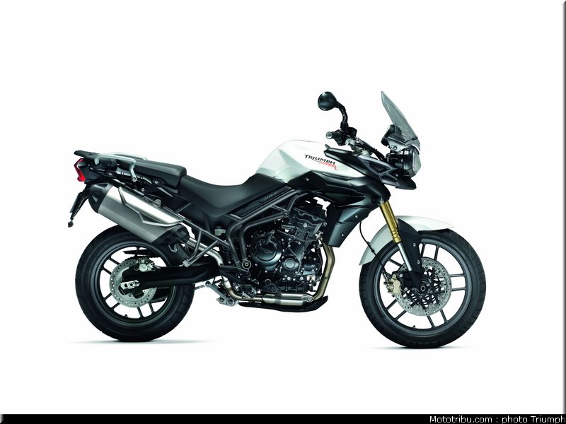 triumph_800_014_2012