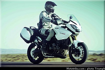triumph_1050_003_2012.jpg