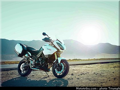 triumph_1050_005_2012.jpg