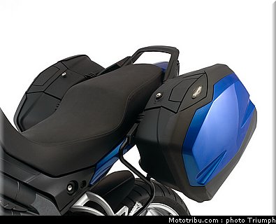 triumph_1050_007_2012.jpg