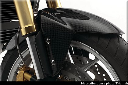 triumph_1050_009_2012.jpg
