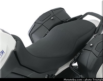 triumph_1050_011_2012.jpg