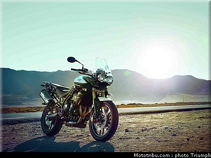 triumph_800_004_2012.jpg