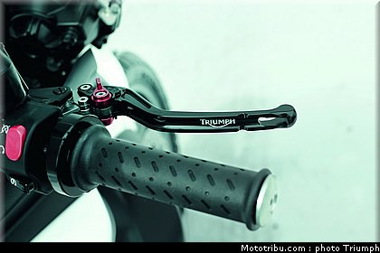 triumph_800_006_2012.jpg