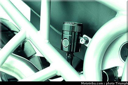 triumph_800_007_2012.jpg