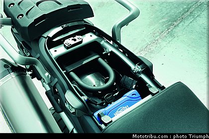 triumph_800_009_2012.jpg