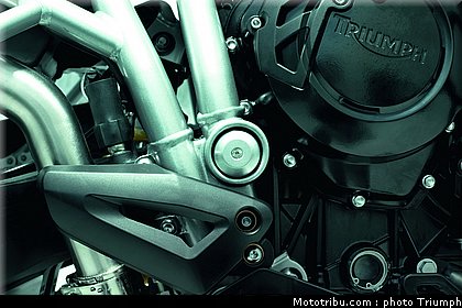 triumph_800_010_2012.jpg