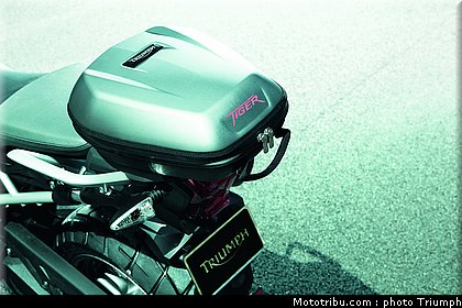 triumph_800_012_2012.jpg
