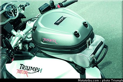 triumph_800_013_2012.jpg