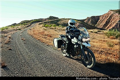 triumph_800_xc_1_2012.jpg