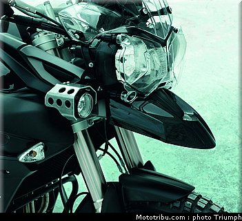 triumph_800_xc_4_2012.jpg