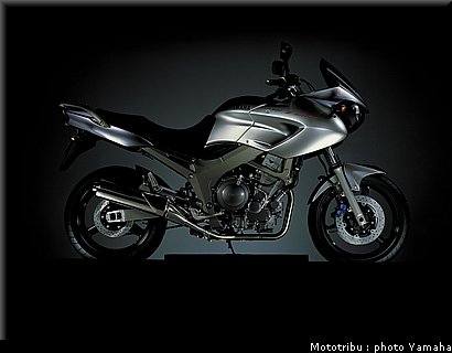 yamaha_900tdm_2002_012.jpg