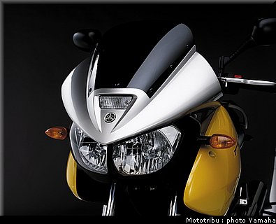 yamaha_900tdm_2002_013.jpg