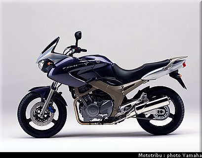 yamaha_900tdm_2003_004.jpg