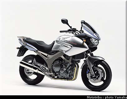 yamaha_900tdm_2004_1.jpg
