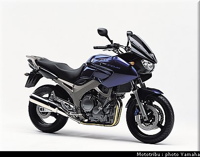 yamaha_900tdm_2004_3.jpg