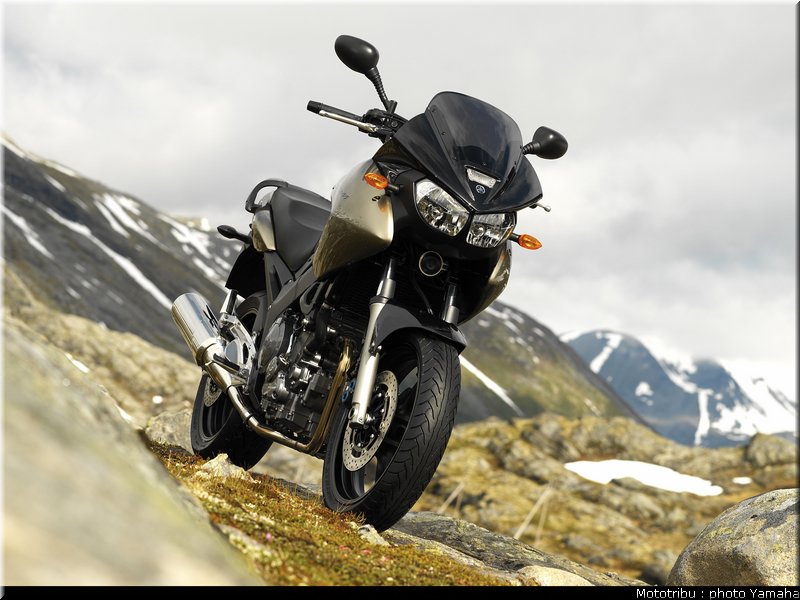 yamaha_900tdm_2005_003