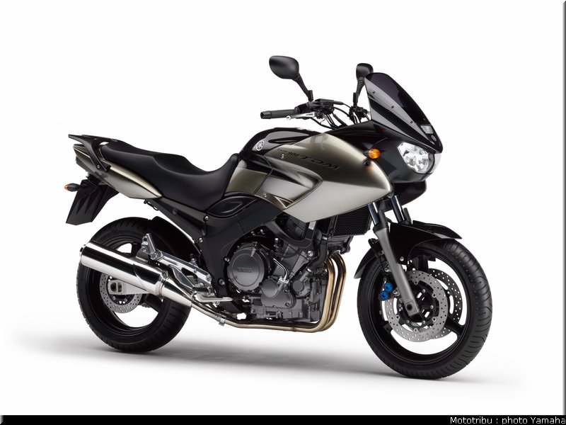 yamaha_900tdm_2005_010