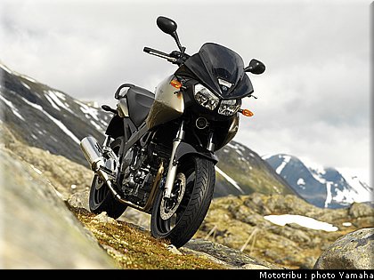 yamaha_900tdm_2005_003.jpg