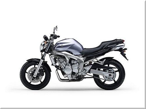 fz6-2005fe-005.jpg