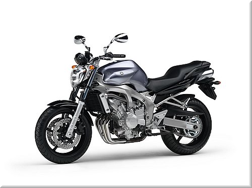 fz6-2005fe-007.jpg