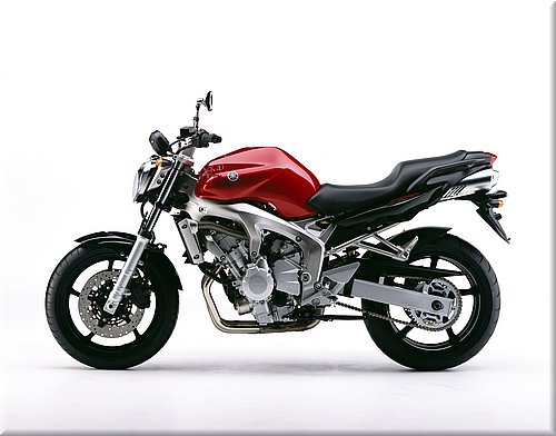 fz6-2005fe-012.jpg