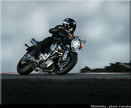 yamaha_mt01_2005_009.jpg
