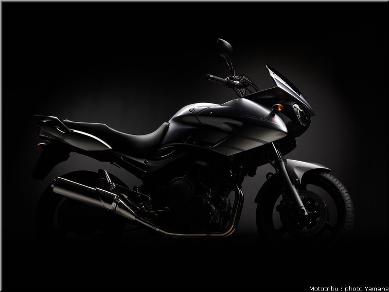 yamaha_900tdm_2006_010