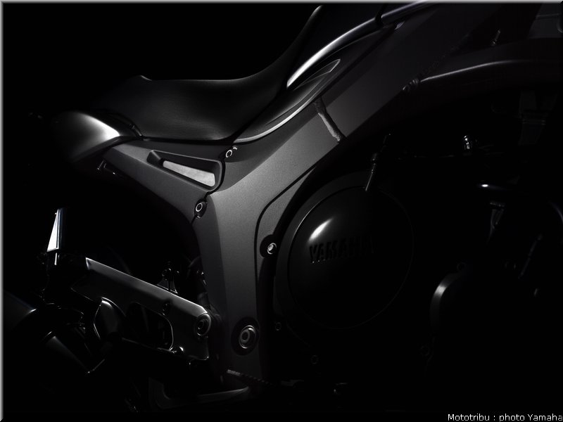 yamaha_900tdm_2006_012