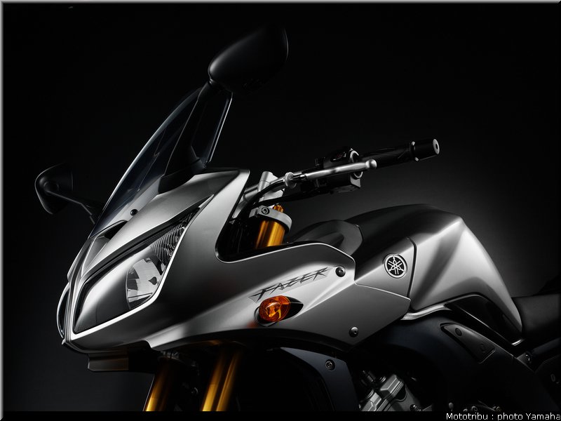 yamaha_fz1_fazer_2006_014