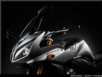 yamaha_fz1_fazer_2006_014.jpg