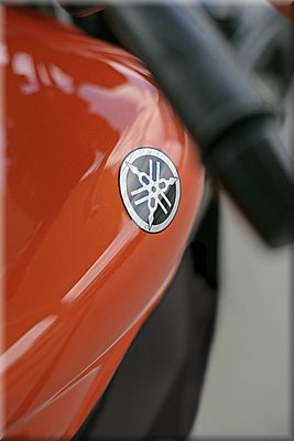 fz6-2006fe-014.jpg