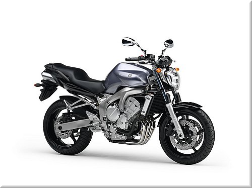 fz6-2006fe-020.jpg