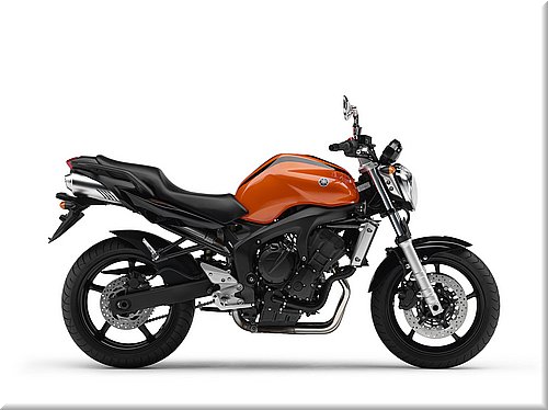 fz6-2006fe-024.jpg